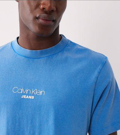 Calvin Klein Jeans Logo Cotton T-Shirt - Regular Fit